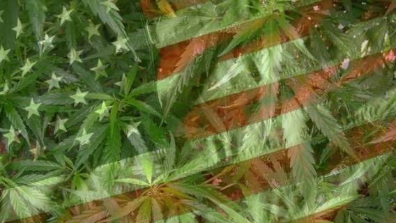 marihuana-usa