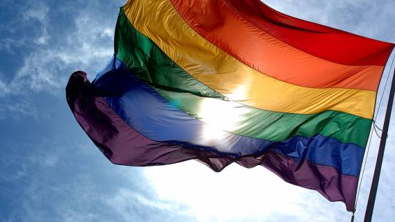Raport: Homoseksualiści nie chcą małżeństw jednopłciowych