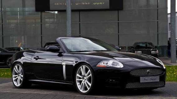 jaguar