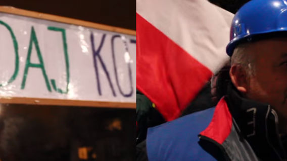 manifestacja kaczyński