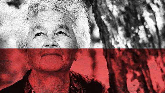 Rewolucja w emeryturach! Postawimy na system brytyjski