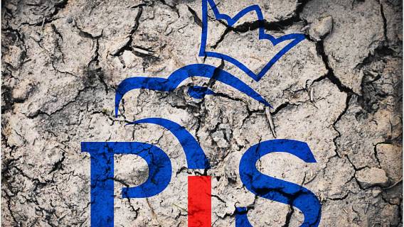 W PiS płoną ze wstydu. Kukiz ujawnia sensacyjne fakty! „Wbiło mnie w fotel”