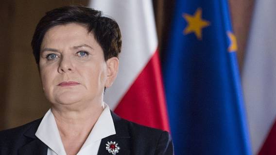 Wielka porażka Szydło. Dostała ŁOMOT od weterynarza
