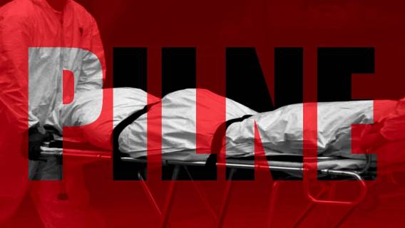 PILNE