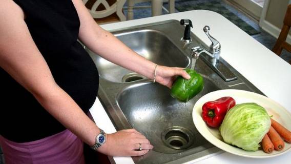 pregnant-woman-in-the-process-of-washing-a-batch-of-assorted-produce-prior-to-the-preparation-of-a-salad-725x479
