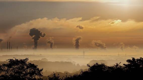 smog-pexels-1