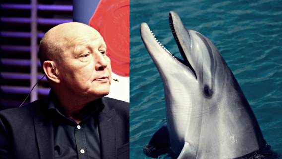 Zaskoczenie na mundialu! Delfin upokorzył Jackowskiego, kompromitacja polskiego jasnowidza