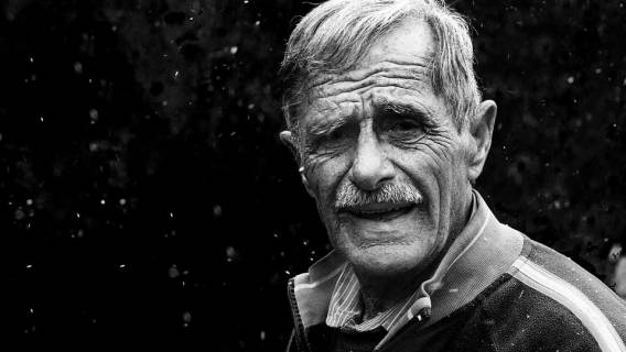 portrait-2272225_960_720