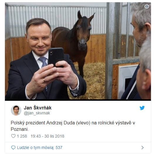 Obrazy Pikio