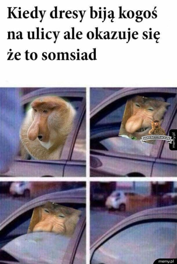 Obrazy Pikio