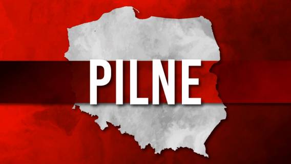 Jaja pająków w popularnych owocach z Lidla! Natychmiast je wyrzućcie