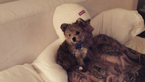 bieber