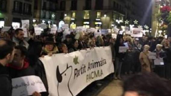 protest(1)