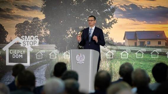 rząd pis