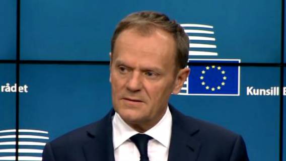tusk (1)