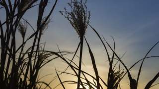 Równonoc wiosenna data