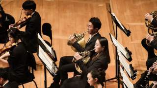 Dla Elizy - utwór Beethovena