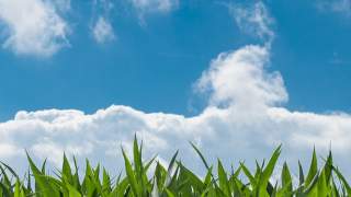 Dlaczego niebo jest niebieskie?