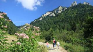 Zosia Majewska - Szymon Majewski