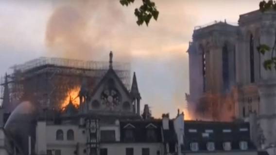 Papież Franciszek notre dame