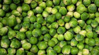 Dieta kapuściana. Zdjęcie - efekty