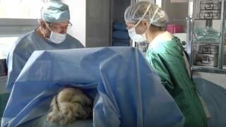 Ile zarabia chirurg plastyczny - zdjęcia z operacji