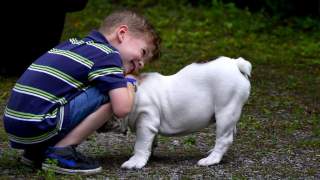 Jak zrobić screena na laptopie