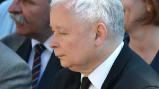 Kot Kaczyńskiego, PiS.