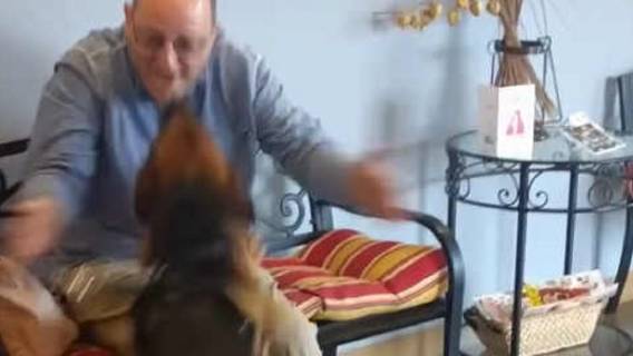 Pies pokazał jak barzdo kocha swojego właściciela