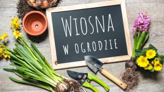 wiosna w ogrodzie i aktywny wypoczynek