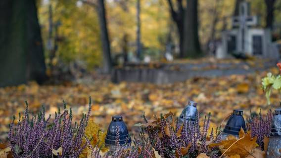 Widok grobu ojca Kaczyńskich zapiera dech. Słowa wyryte na nagrobku mówią same za siebie