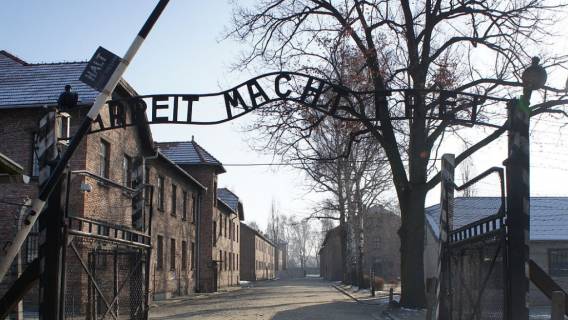 Auschwitz, porażające odkrycie