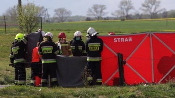 Policja, ciało na polu