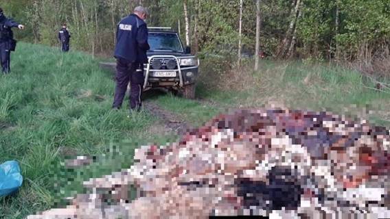 Sołtys nie mógł uwierzyć własnym oczom