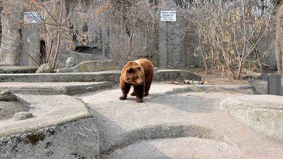 ZOO w Warszawie