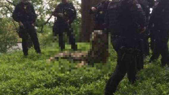 Zwierzę zostało odnalezione przez policję.