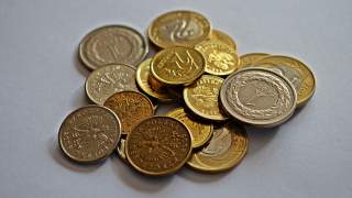 Zasiłek solidarnościowy