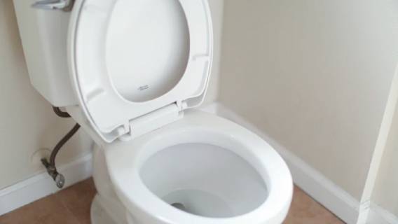 Czosnek może okazać się sprzymierzeńcem w walce o czystą toaletę