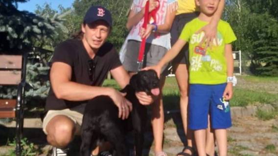 Pies został adoptowany przez aktora