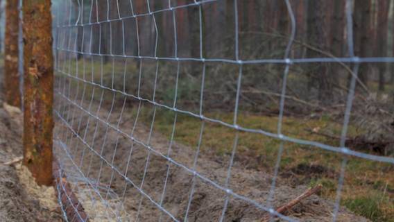 Jedno z polskich województw zostanie odgrodzone 100-kilometrowym płotem. Powód jest poważny