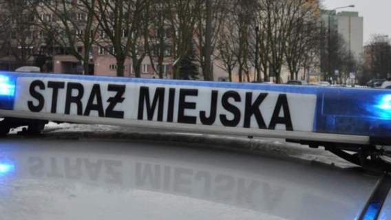 Straż miejska, pomoc policji