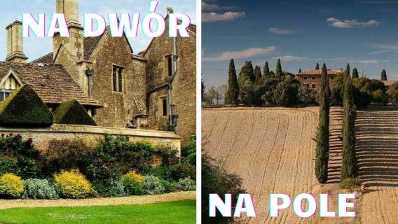Polacy spór