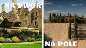 Polacy spór