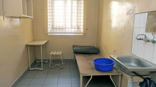 cela/zdj. ilustracyjne