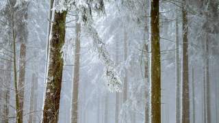 matka zostawiła dzieci na mrozie