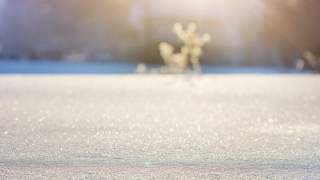 „Żółty śnieg” będzie padał w Polsce?