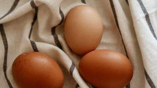 ugotowane jajka