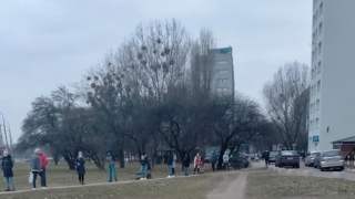 Test na koronawirusa