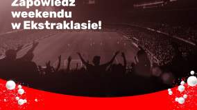 Materiały Partnera