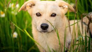 Materiały promocyjne